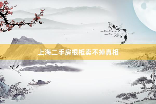 上海二手房根柢卖不掉真相