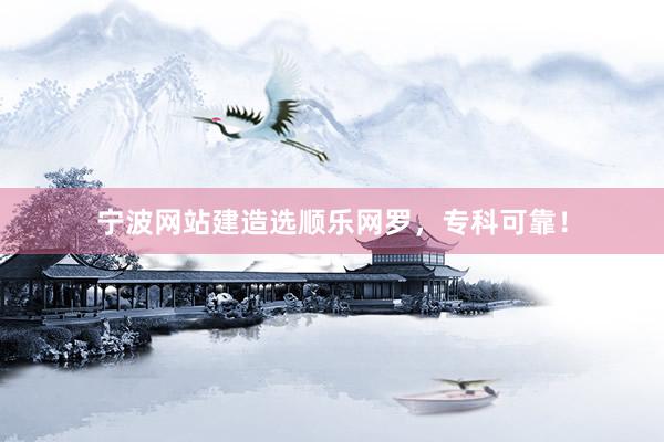 宁波网站建造选顺乐网罗，专科可靠！