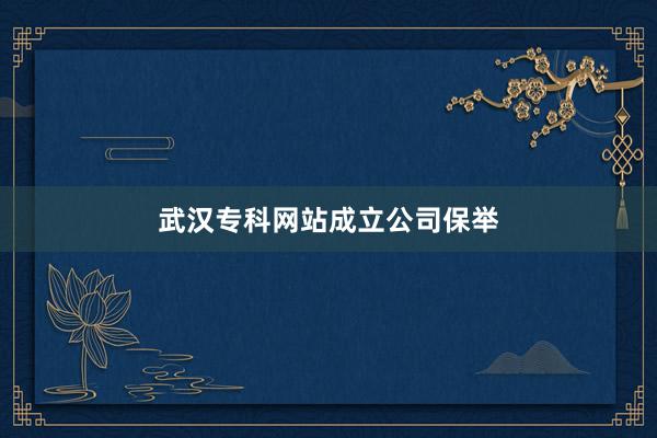 武汉专科网站成立公司保举