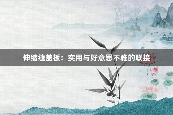 伸缩缝盖板：实用与好意思不雅的联接