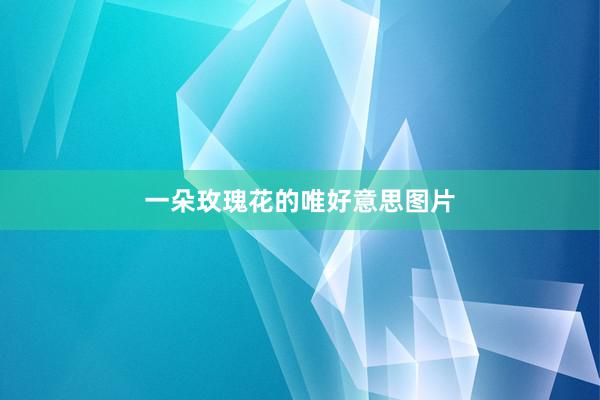 一朵玫瑰花的唯好意思图片