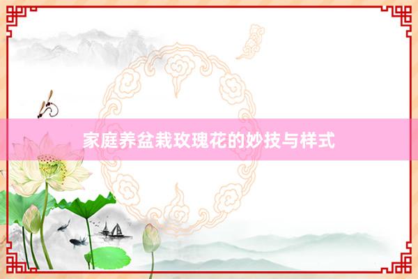 家庭养盆栽玫瑰花的妙技与样式