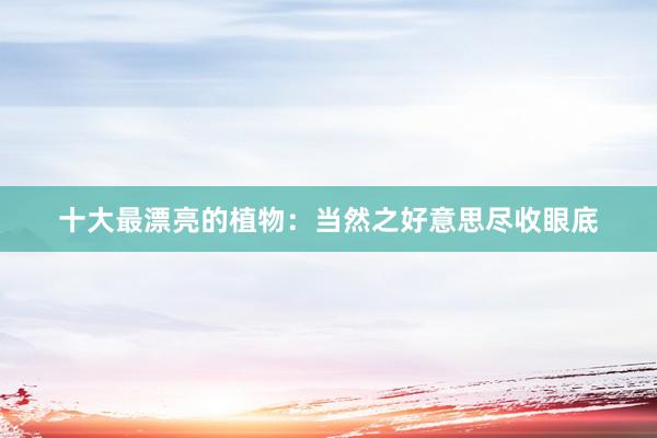 十大最漂亮的植物：当然之好意思尽收眼底